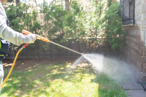 Best Affordable Pest Control Services  in Crane, MO