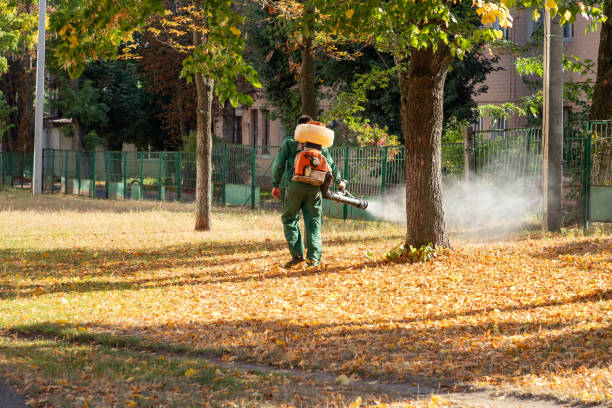 Best Mosquito Control Services  in Crane, MO